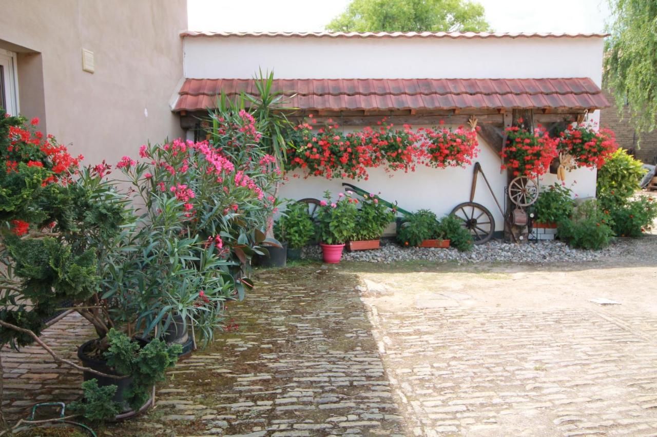 La Chambre Aux Hirondelles Ittenheim Exterior foto